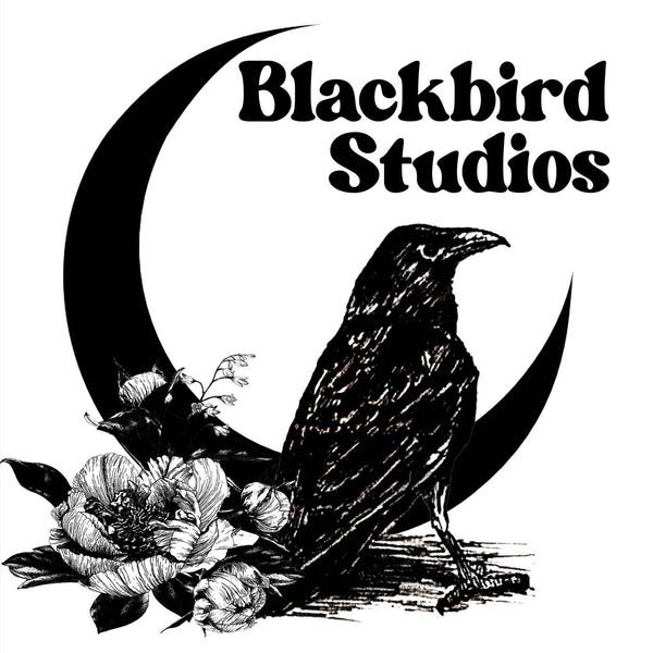 Bell Bottom Pants - Black Cotton Lycra – Blackbird Studios Canada